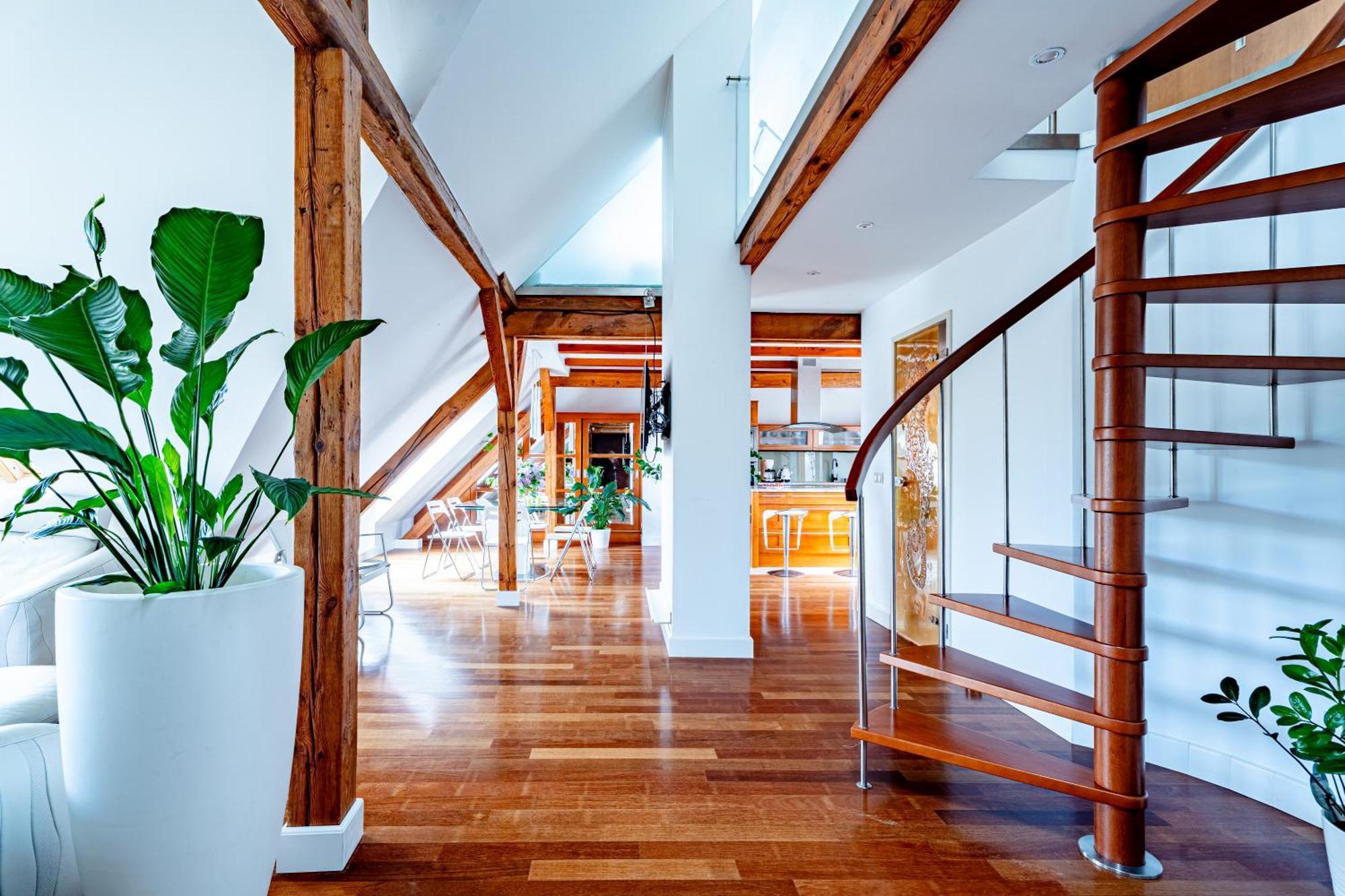סופוט Rj Apartments Chopina מראה חיצוני תמונה